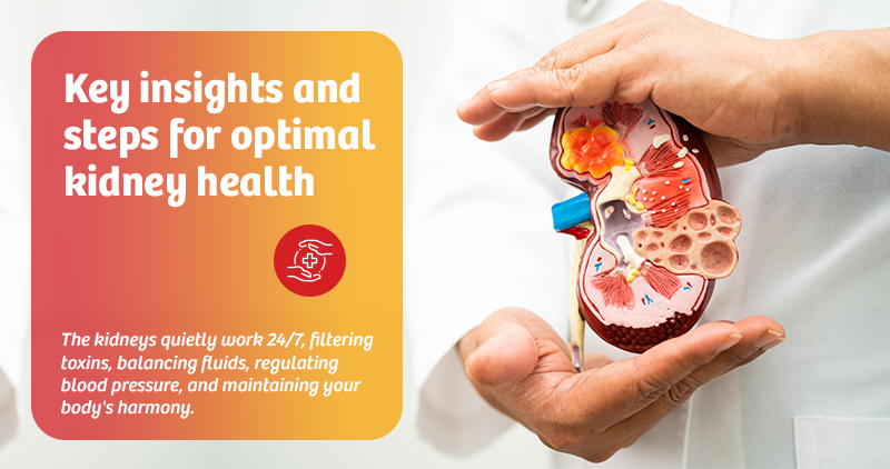 Key insights and steps for optimal kidney health