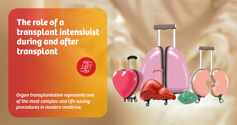 transplant-intensivist